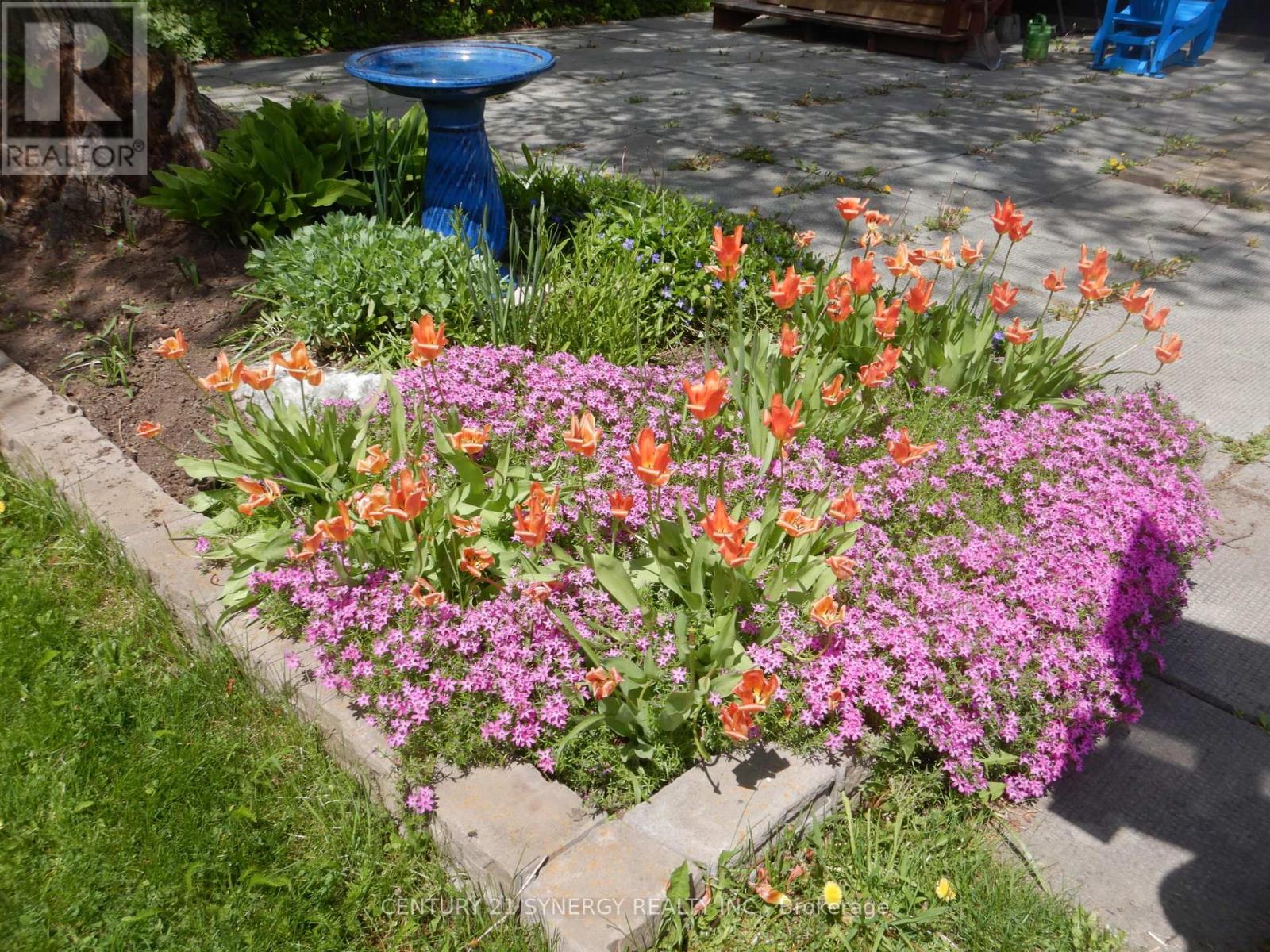 127 Snedden Drive, Mississippi Mills, Ontario  K0A 1A0 - Photo 32 - X12948544