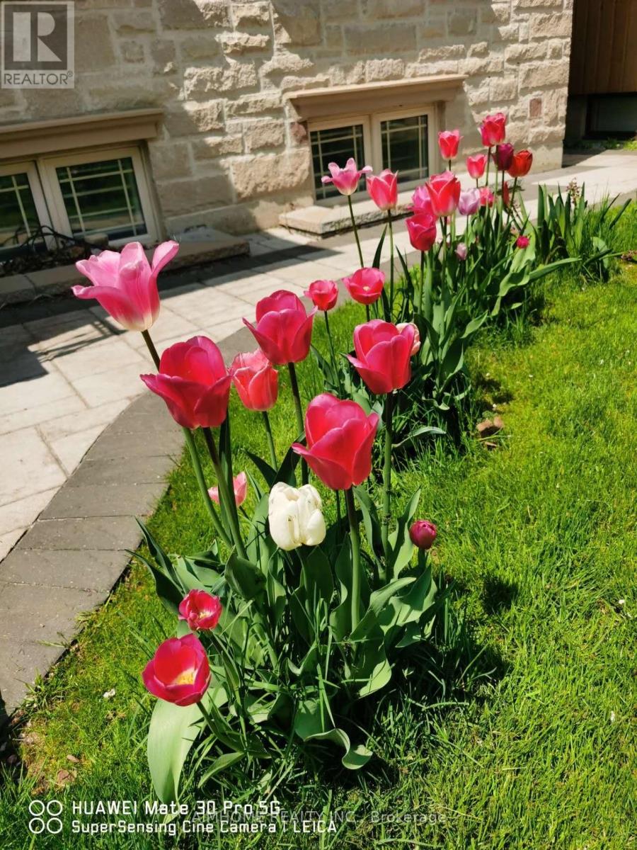 38 Pheasant Road, Toronto, Ontario  M2M 3G7 - Photo 46 - C12955030