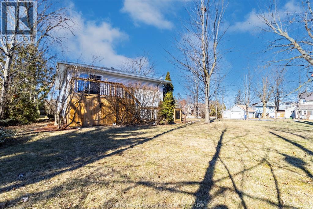 6201 Main Street, Comber, Ontario  N0P 1J0 - Photo 3 - 26004228