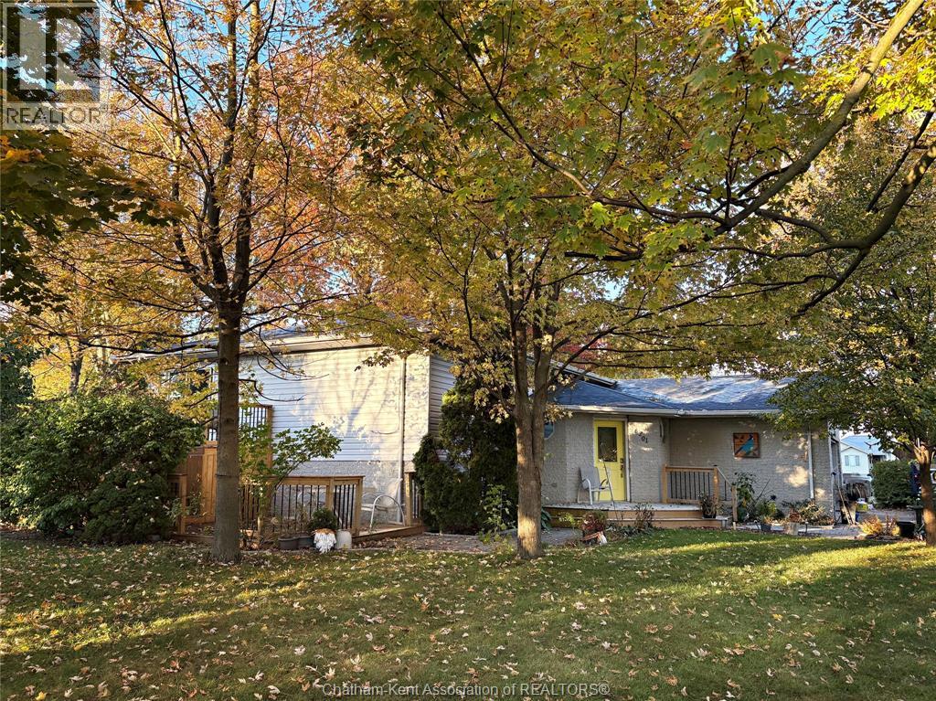 6201 Main Street, Comber, Ontario  N0P 1J0 - Photo 42 - 26004228