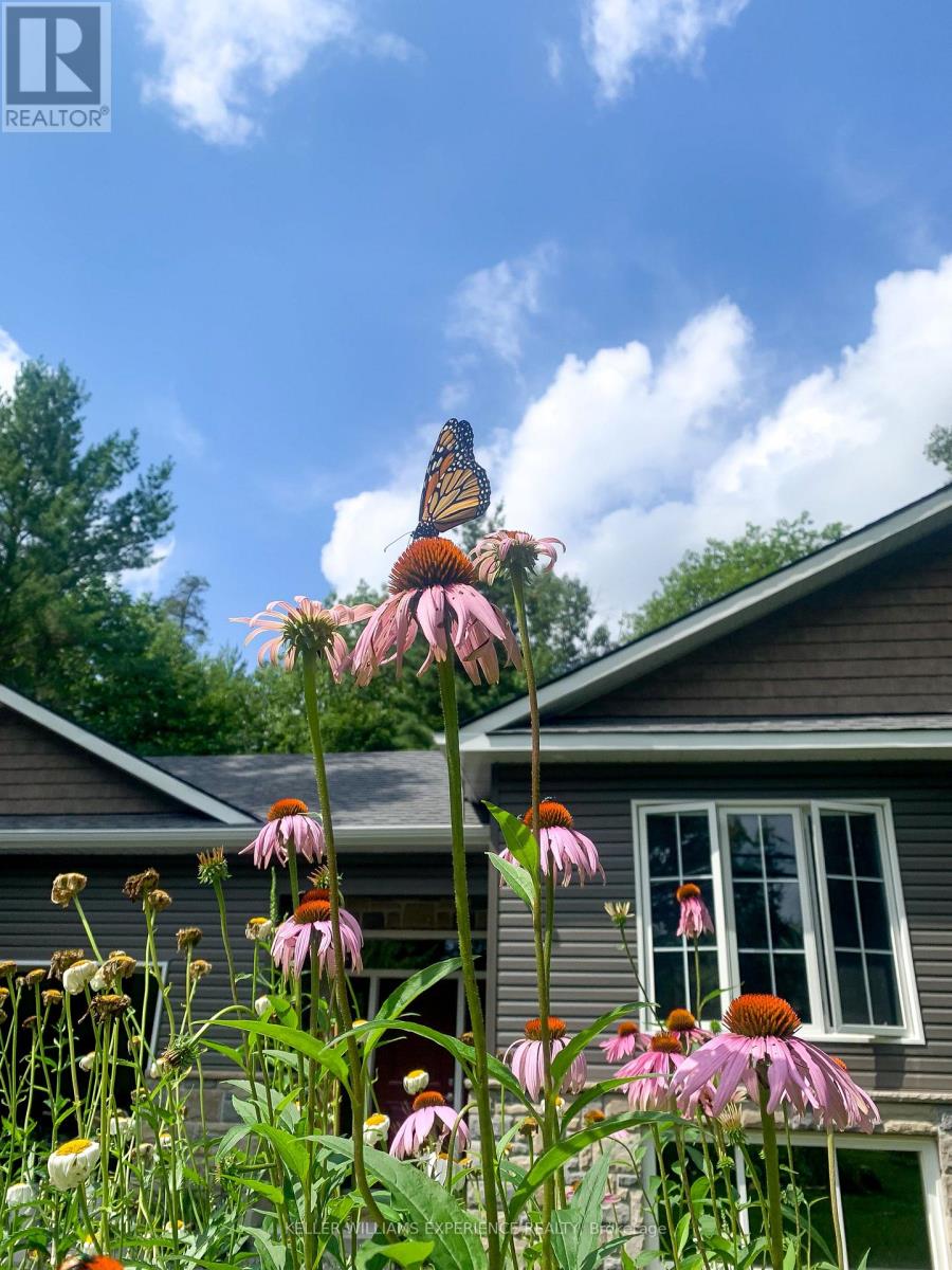 3714 Agnew Road, Severn, Ontario  L0K 2B0 - Photo 41 - S12943014