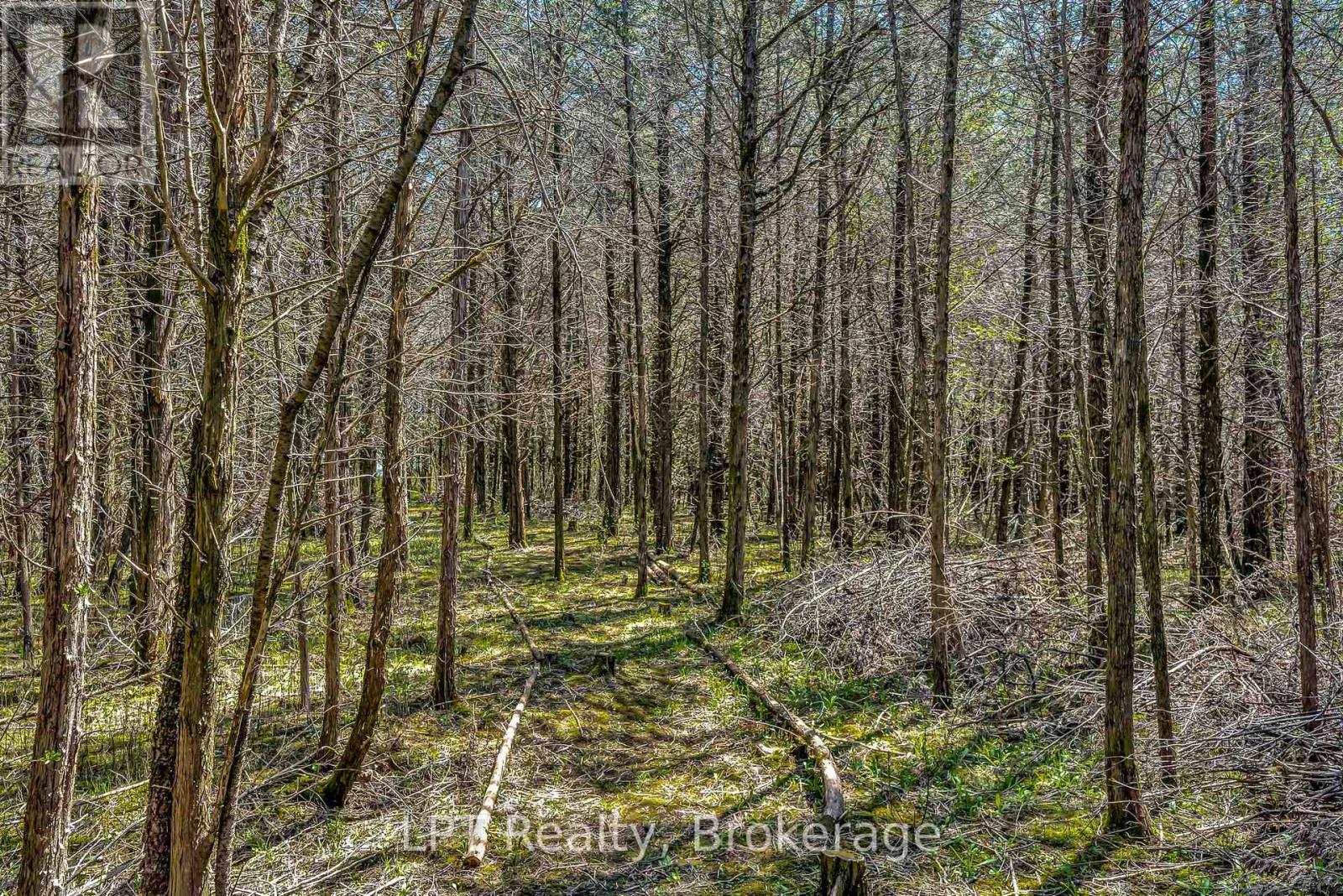 1207 County Rd 9 Street, Greater Napanee, Ontario  K7R 3K8 - Photo 39 - X12955334