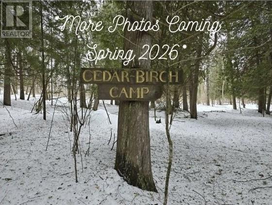 364 Triple D Trail, Assiginack, Ontario P0P 1N0 - Photo 2 - 2127001