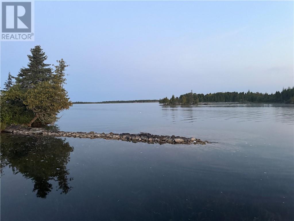 364 Triple D Trail, Assiginack, Ontario P0P 1N0 - Photo 25 - 2127001