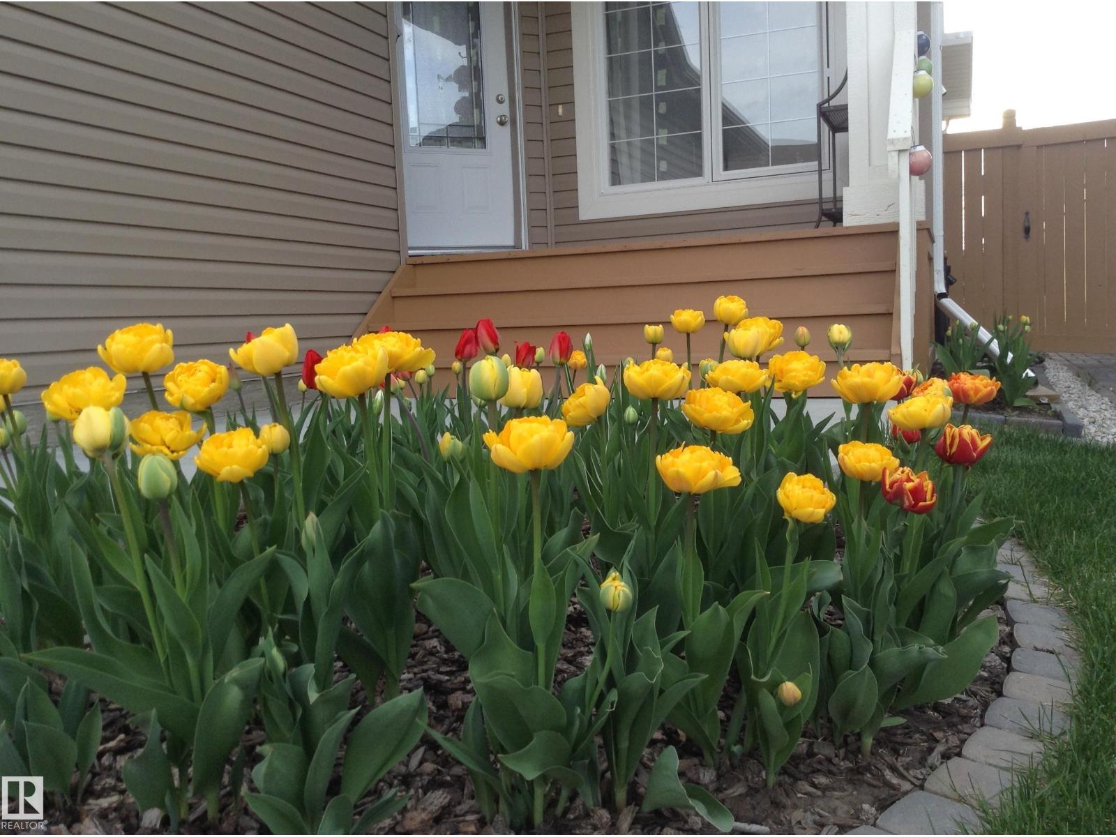 1330 114b St Sw, Edmonton, Alberta  T6W 0G7 - Photo 3 - E4480261