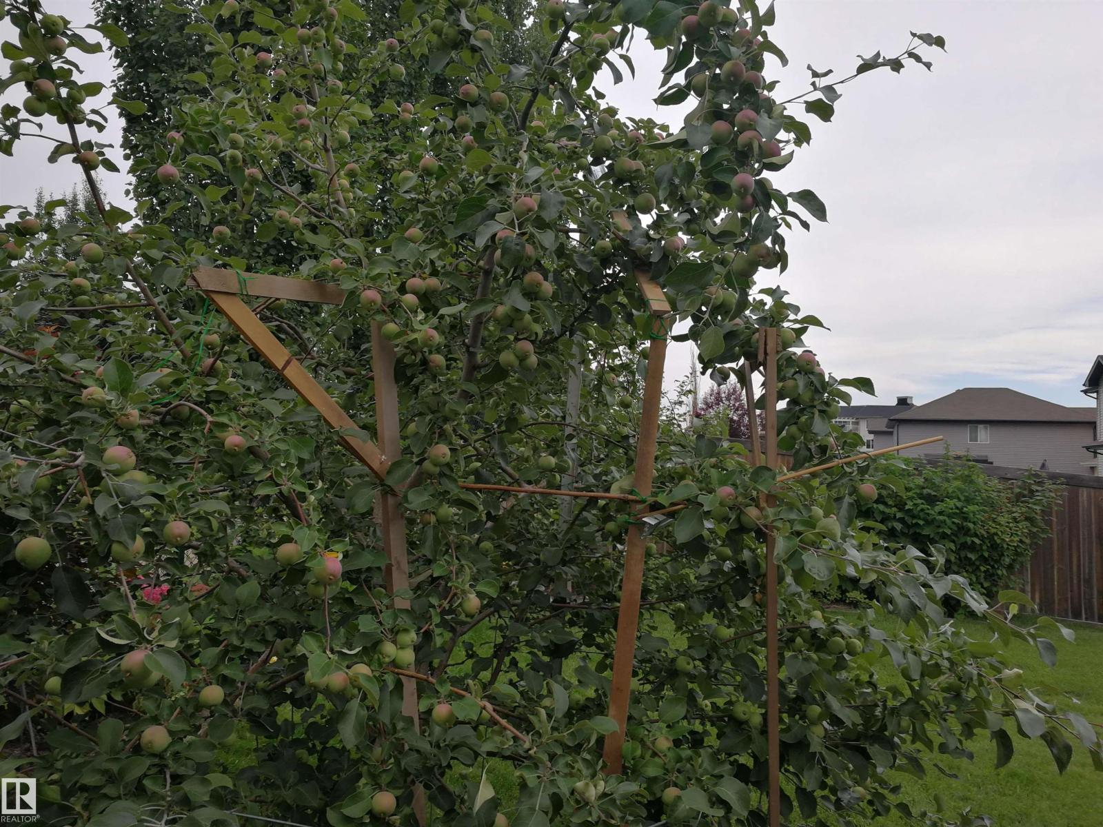 1330 114b St Sw, Edmonton, Alberta  T6W 0G7 - Photo 50 - E4480261