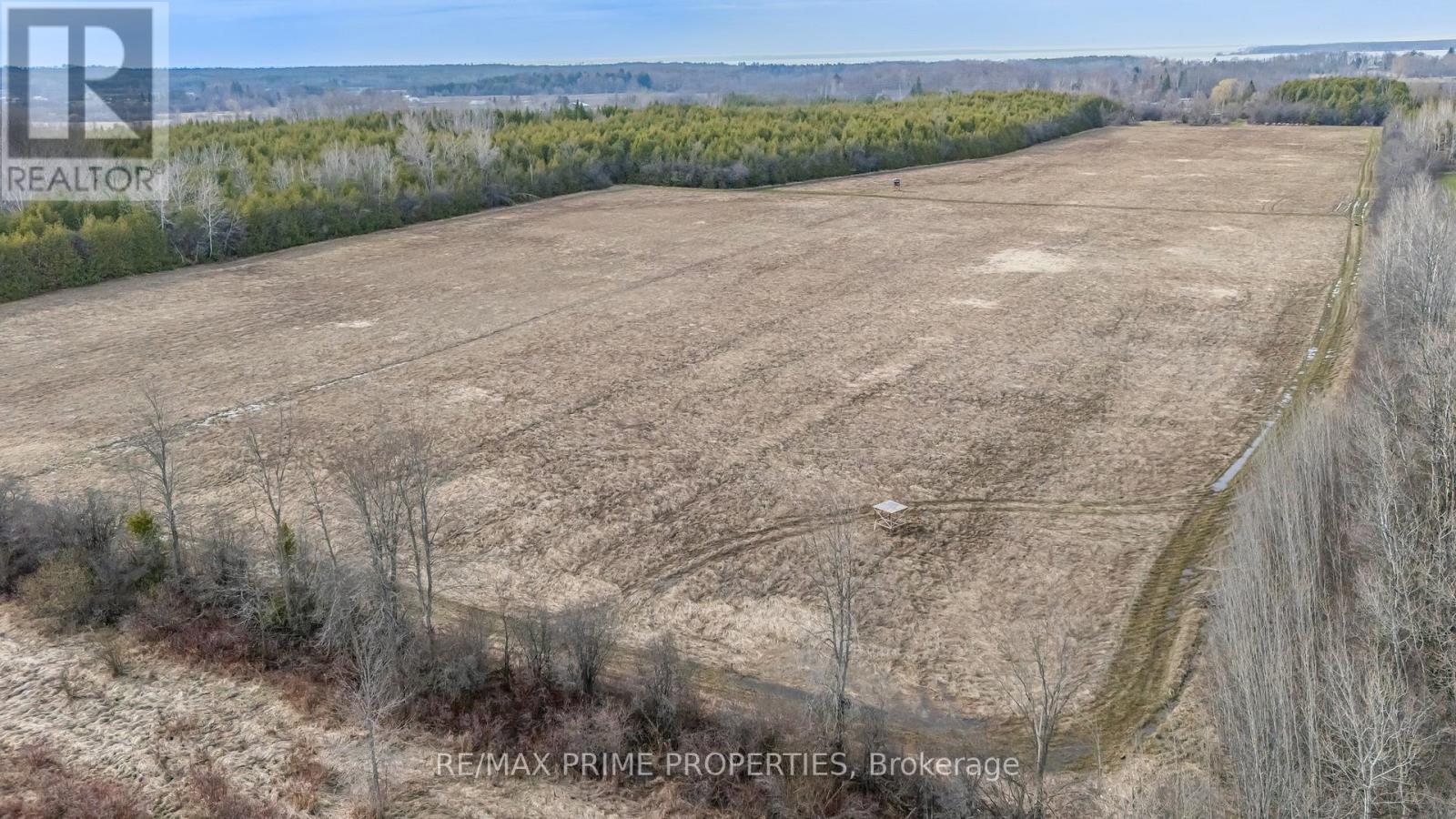 28171 Highway 48 Acres, Georgina (Baldwin), Ontario  L0E 1R0 - Photo 5 - N12955374