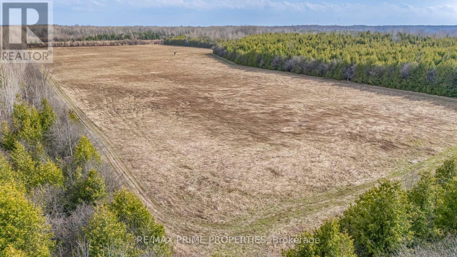 28171 Highway 48 Acres, Georgina (Baldwin), Ontario  L0E 1R0 - Photo 7 - N12955374