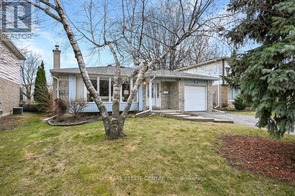 46 Grassington Crescent, Brampton, Ontario  L6S 1Z6 - Photo 3 - W12955442