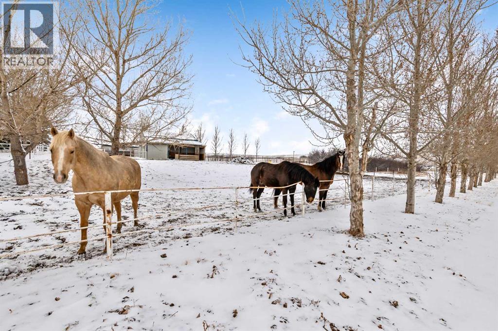 95401a Hwy 2 Highway, Rural Willow Creek No. 26, Alberta  T0L 1Z0 - Photo 33 - A2297786