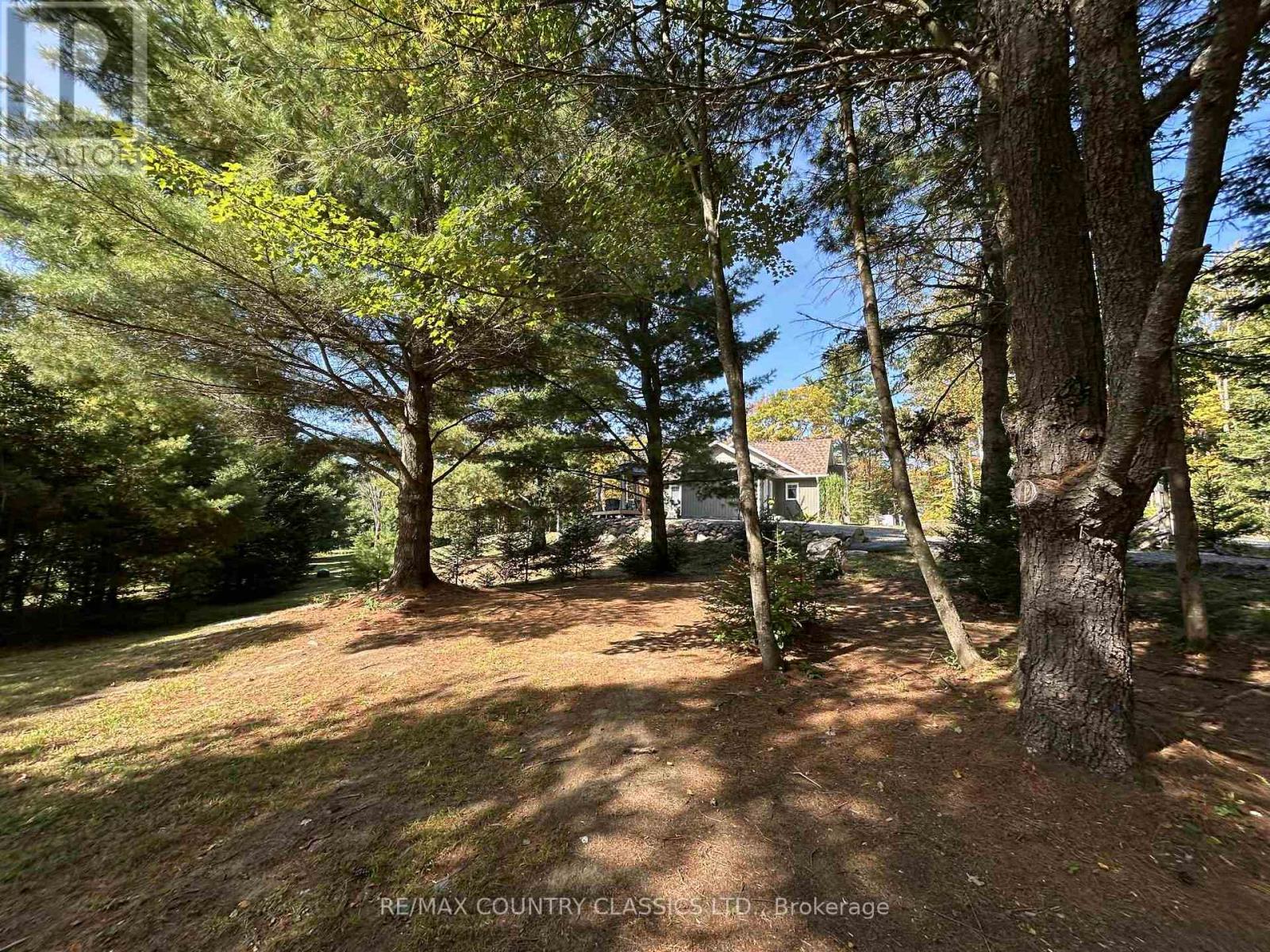 170 Bunny Trail, Mcdougall, Ontario  P2A 2W7 - Photo 38 - X12946686