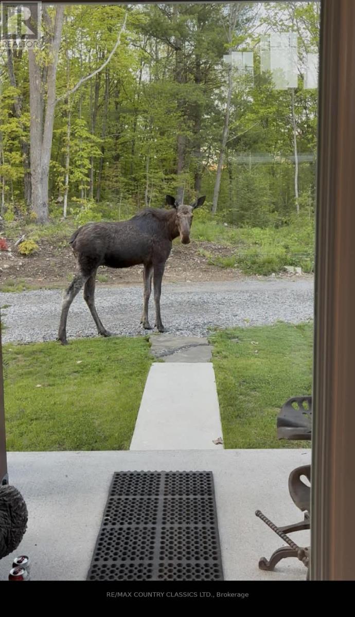 170 Bunny Trail, Mcdougall, Ontario  P2A 2W7 - Photo 49 - X12946686