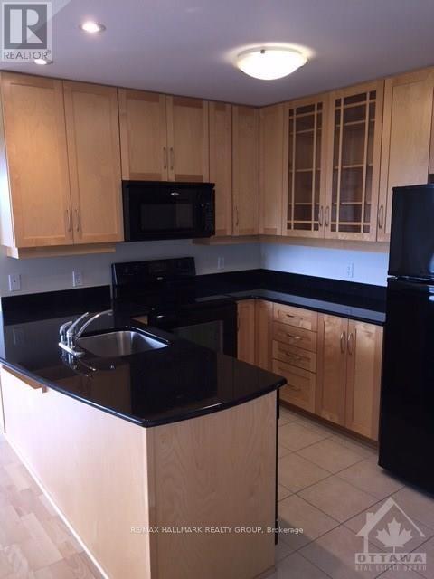 1010 - 314 Central Park Drive, Ottawa, Ontario  K2C 0R2 - Photo 3 - X12955468
