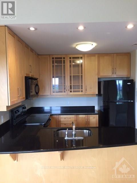 1010 - 314 Central Park Drive, Ottawa, Ontario  K2C 0R2 - Photo 4 - X12955468