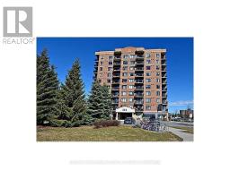 1010 - 314 CENTRAL PARK DRIVE, ottawa, Ontario