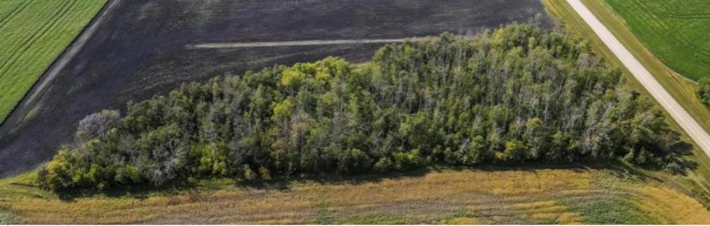 1 Hunter Road, Springfield Rm, Manitoba  R5T 0G8 - Photo 1 - 202606050