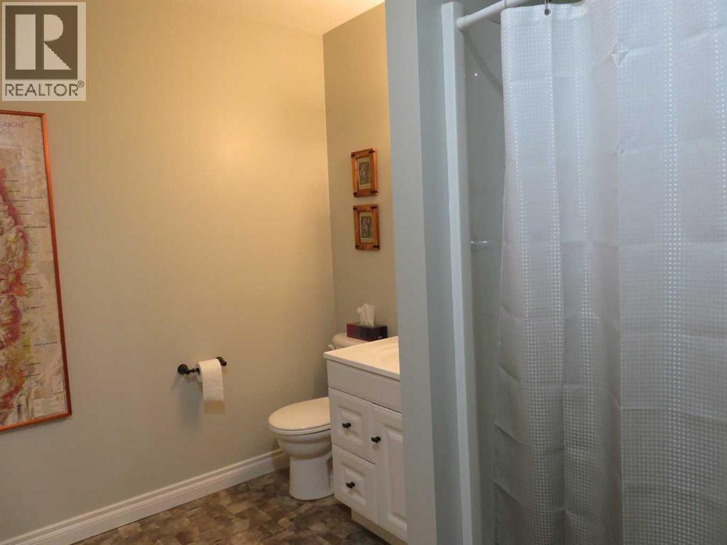 29 Hunter Court Ne, Medicine Hat, Alberta  T1C 1W5 - Photo 31 - A2293918