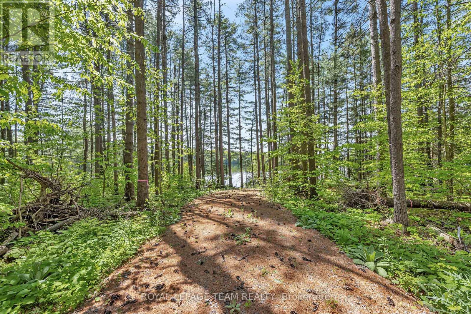 1143 Wabalac Road, Lanark Highlands, Ontario  K0A 1P0 - Photo 3 - X12955630