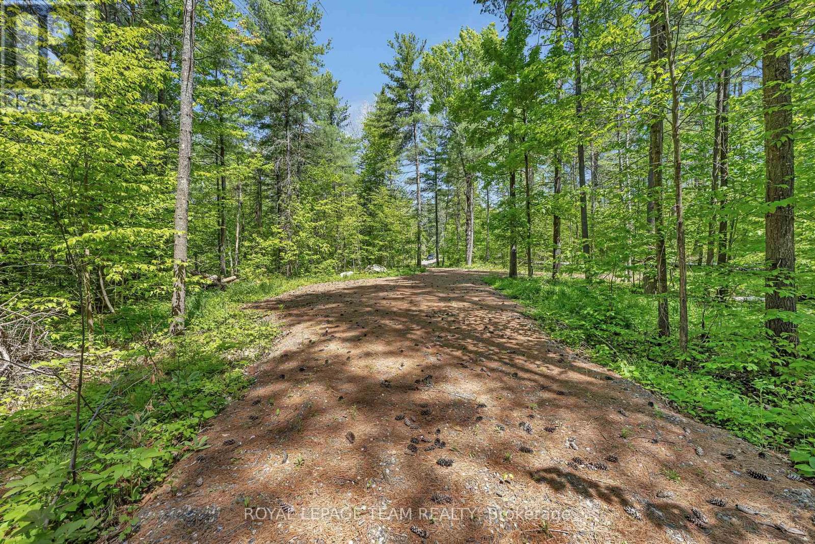 1143 Wabalac Road, Lanark Highlands, Ontario  K0A 1P0 - Photo 4 - X12955630