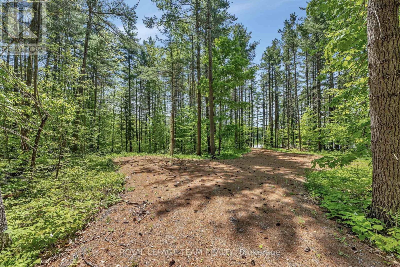 1143 Wabalac Road, Lanark Highlands, Ontario  K0A 1P0 - Photo 5 - X12955630