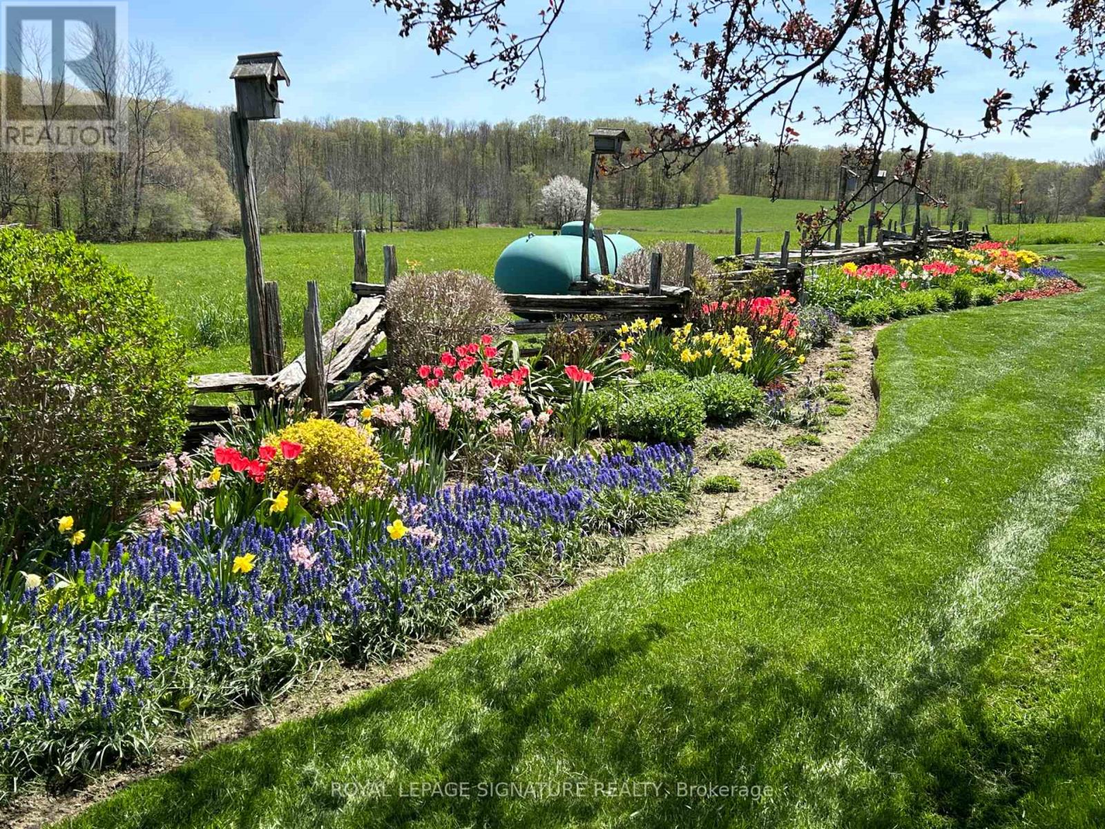 608450 12th Side Road, Blue Mountains, Ontario  N0H 2E0 - Photo 32 - X12849904