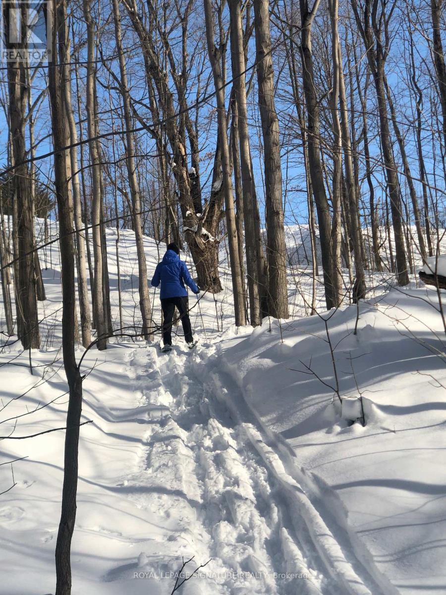 608450 12th Side Road, Blue Mountains, Ontario  N0H 2E0 - Photo 37 - X12849904
