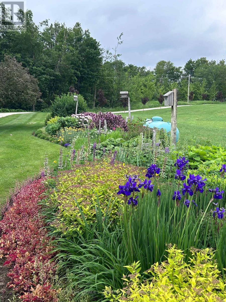 608450 12th Side Road, Blue Mountains, Ontario  N0H 2E0 - Photo 29 - X12849904