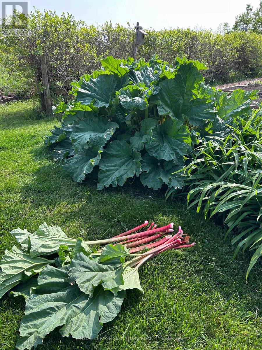 608450 12th Side Road, Blue Mountains, Ontario  N0H 2E0 - Photo 31 - X12849904