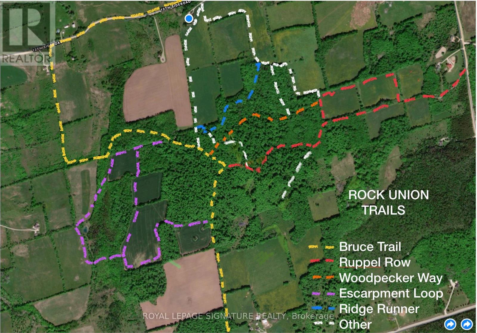 608450 12th Side Road, Blue Mountains, Ontario  N0H 2E0 - Photo 35 - X12849904