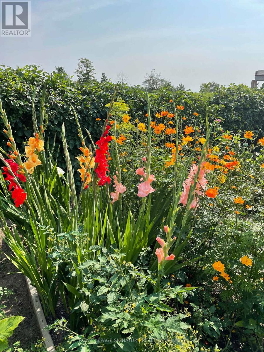 608450 12th Side Road, Blue Mountains, Ontario  N0H 2E0 - Photo 36 - X12849904