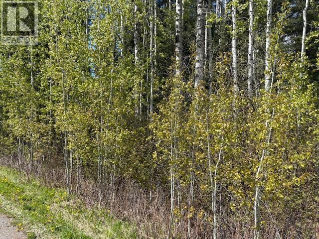 Lot 26 Boultbee Road, Bridge Lake, British Columbia  V0K 2E3 - Photo 3 - R3106819