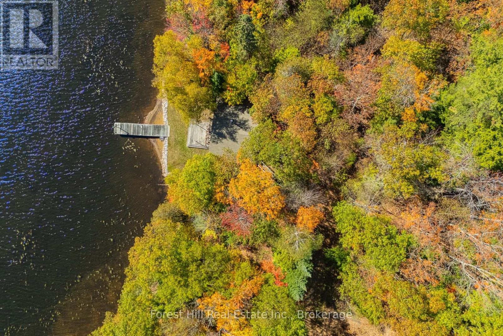 1187 Ivy Lane, Algonquin Highlands, Ontario  P0A 1E0 - Photo 4 - X12922028