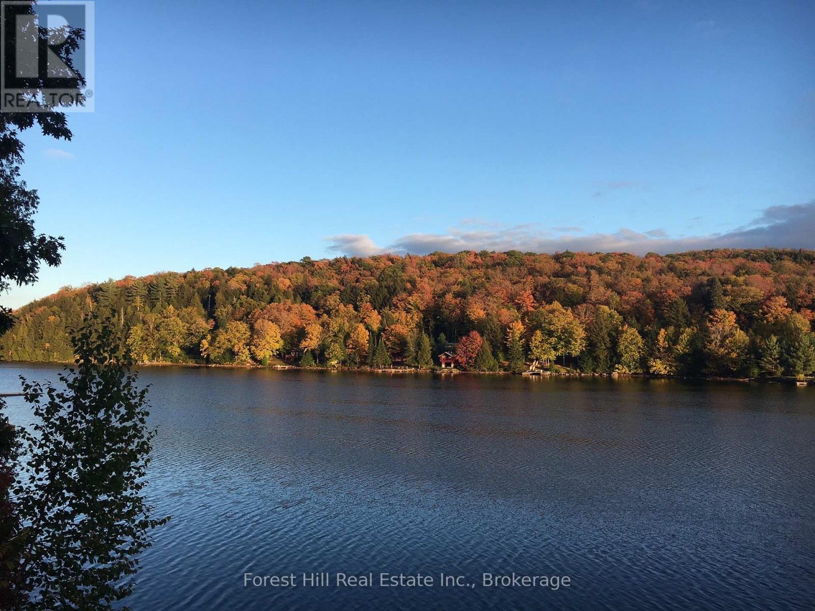 1187 Ivy Lane, Algonquin Highlands, Ontario  P0A 1E0 - Photo 5 - X12922028