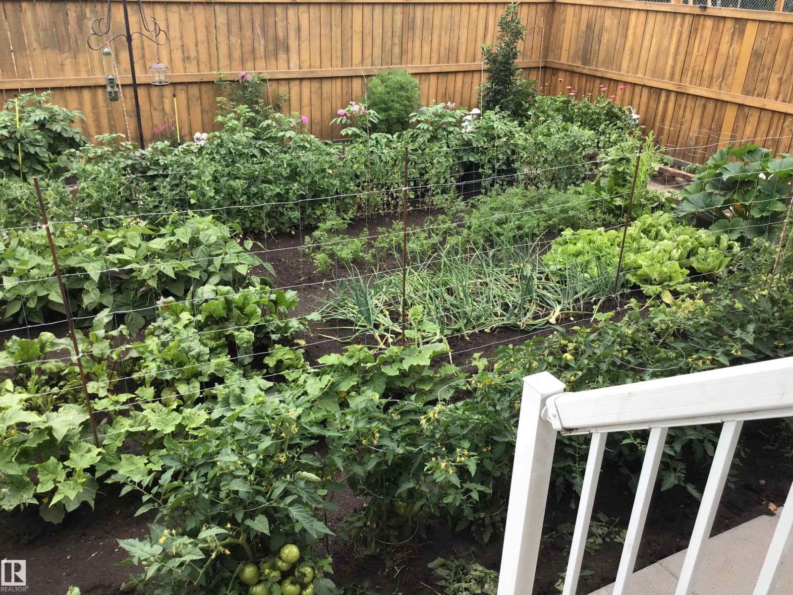 4914 47 St, Redwater, Alberta  T0A 2W0 - Photo 7 - E4474574