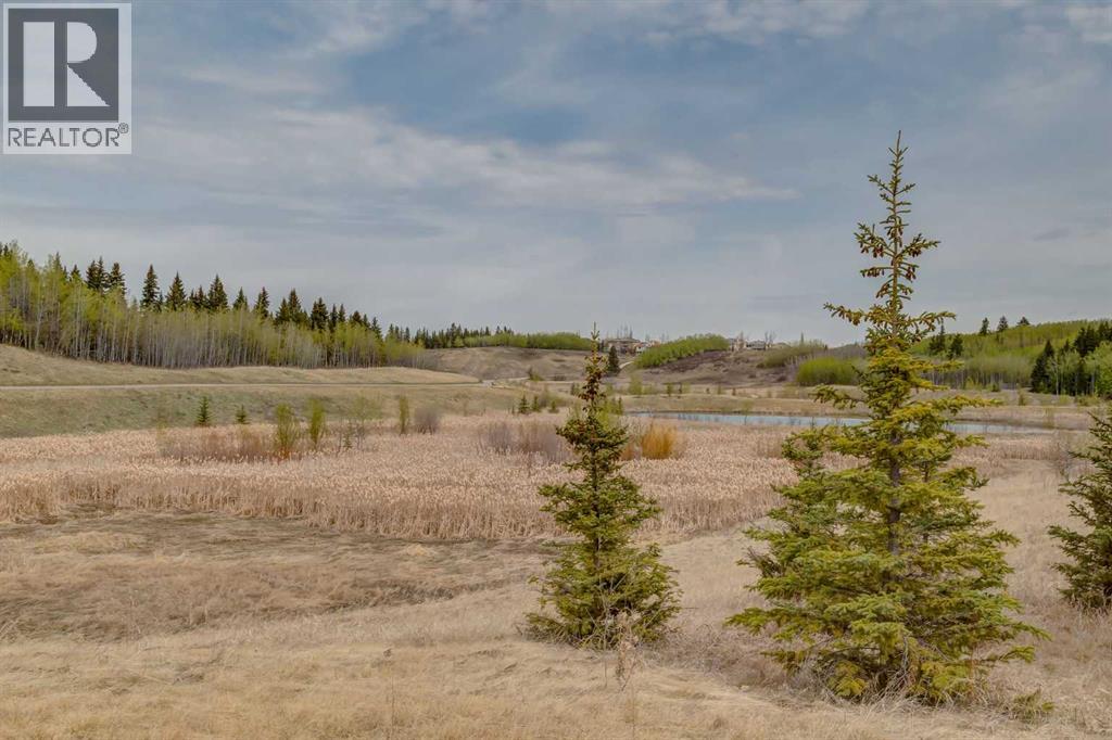 15770 Everstone Road SW, Calgary, Alberta  T2Y 4M3 - Photo 34 - A2298243