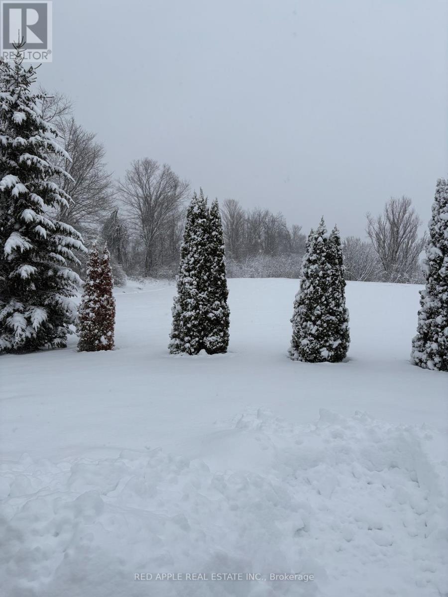 69 Corner Brook Trail, Innisfil, Ontario  L9S 1N7 - Photo 36 - N12942700