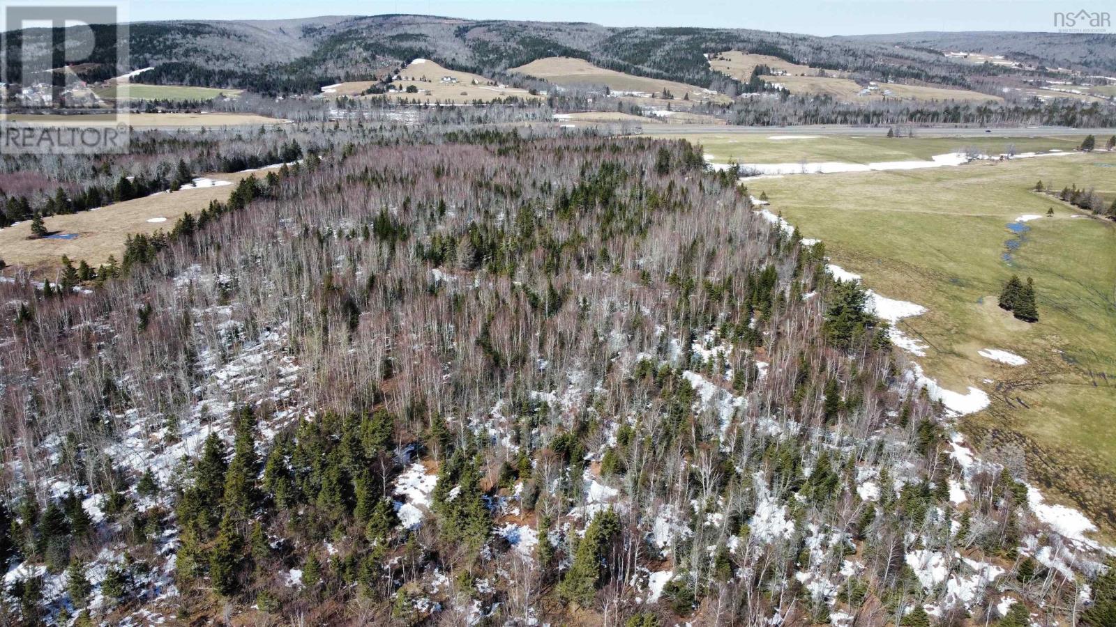 Beaver Meadow Road, Beaver Meadow, Nova Scotia  B2G 2K8 - Photo 4 - 202605946