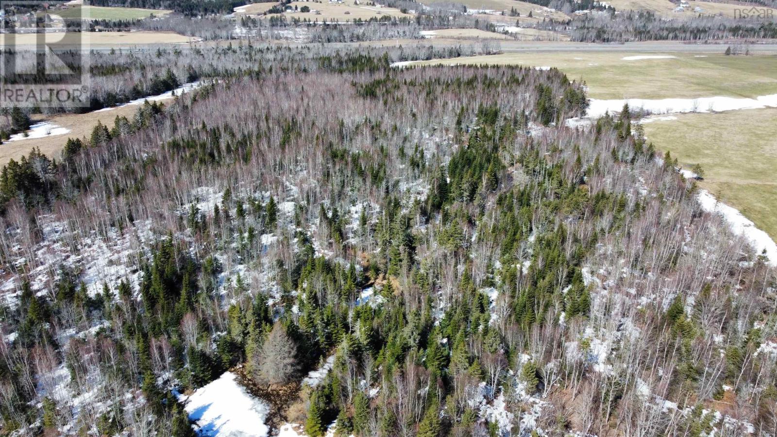 Beaver Meadow Road, Beaver Meadow, Nova Scotia  B2G 2K8 - Photo 5 - 202605946