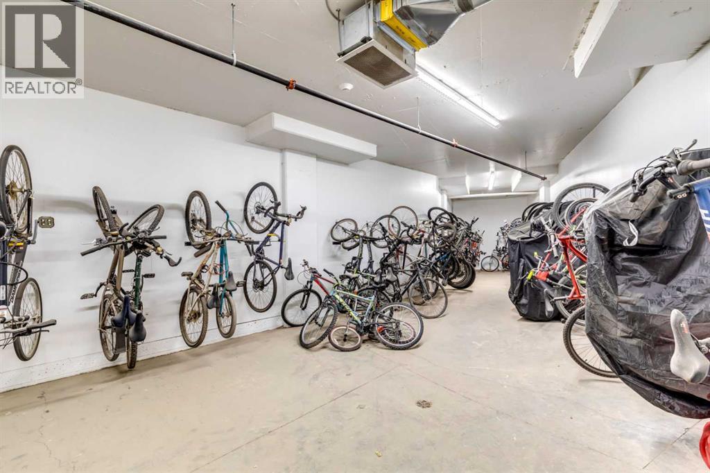 313, 125 Wolf Hollow Crescent Se, Calgary, Alberta  T2X 5W9 - Photo 25 - A2292262