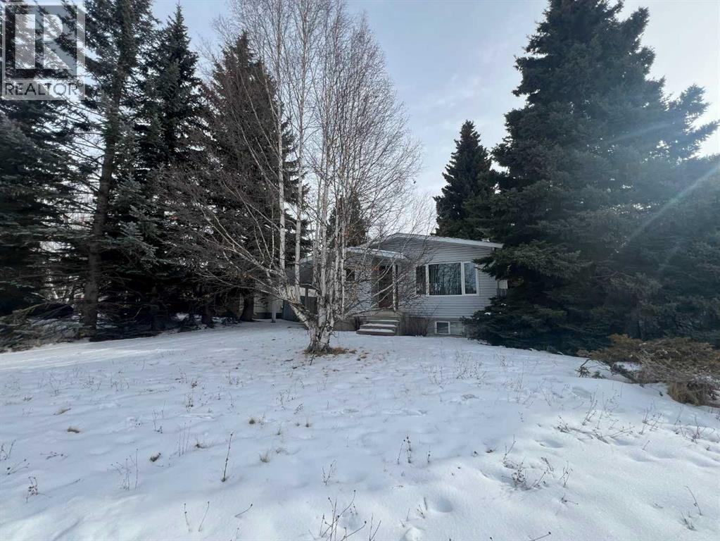 1433 53 Street, Edson, Alberta  T7E 1H2 - Photo 4 - A2290711