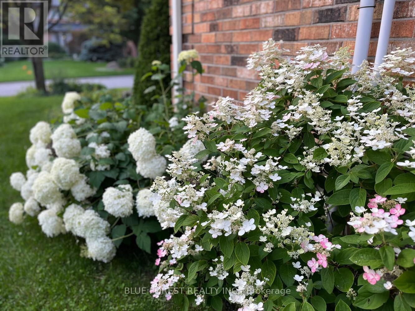 459 Billybrook Crescent, London North, Ontario  N5X 2Y7 - Photo 41 - X12955800