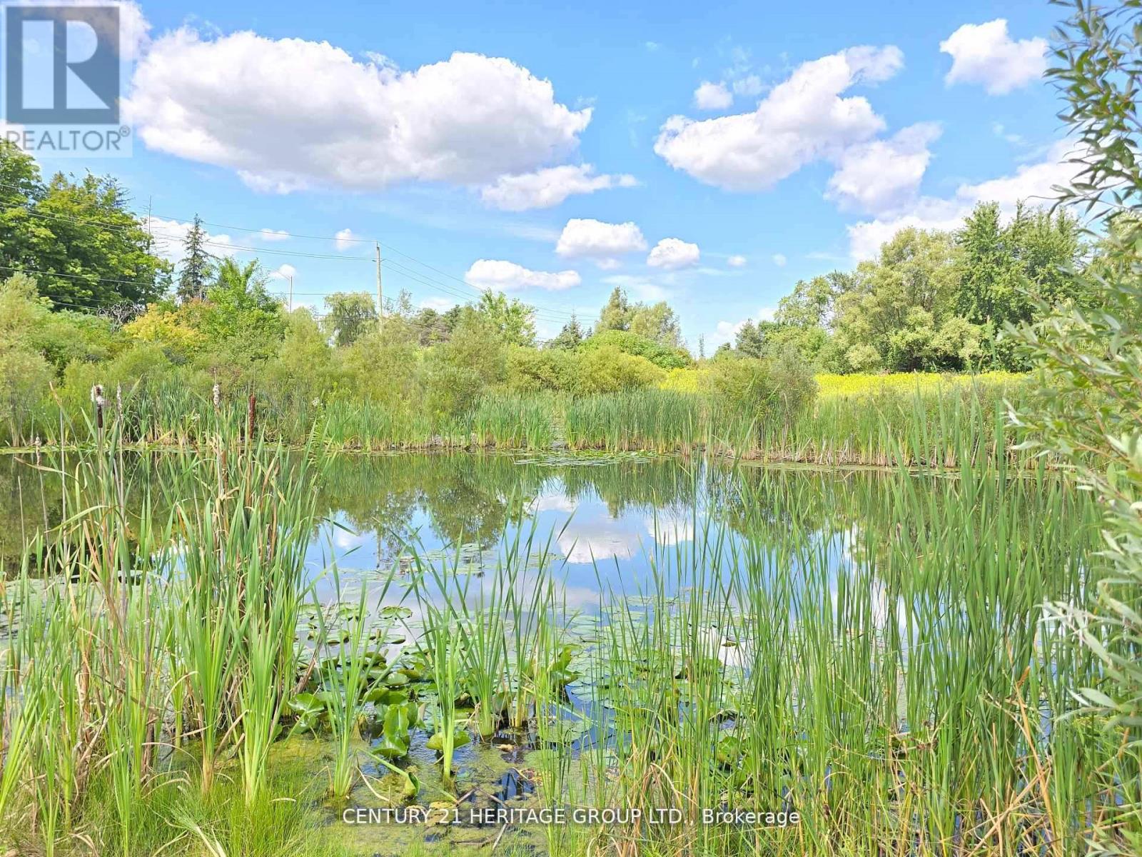 44 Madison Avenue, Richmond Hill, Ontario  L4E 2Z6 - Photo 49 - N12955828