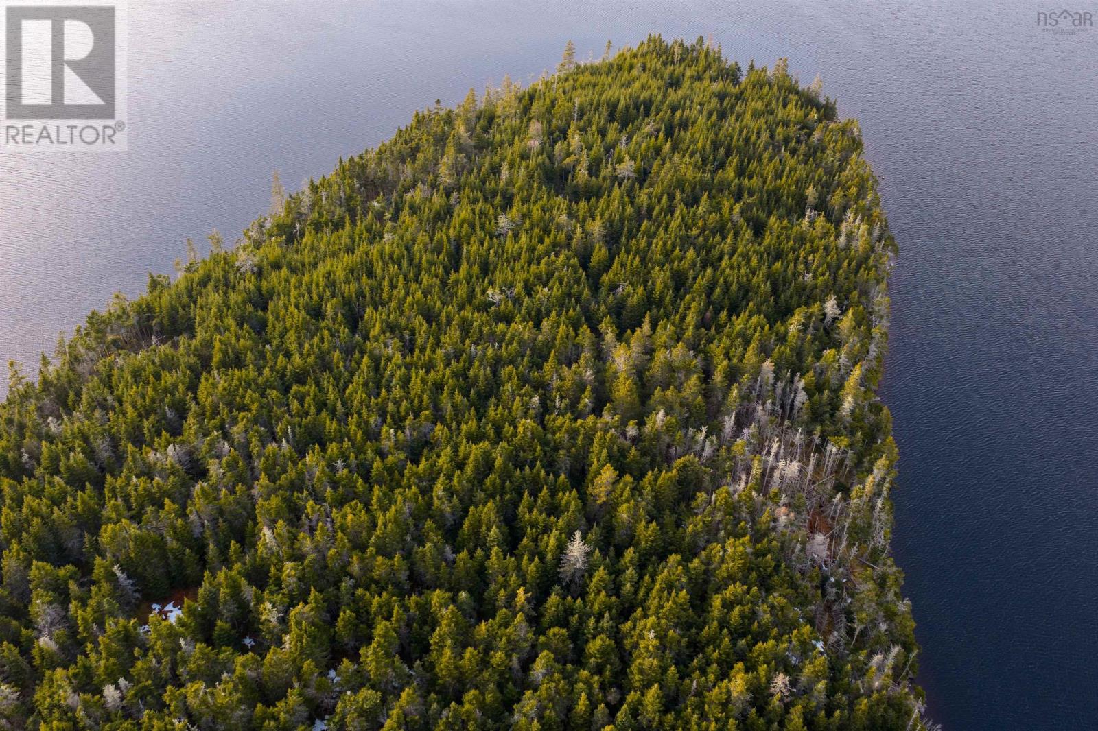 Long Pt Lawrencetown, Seaforth, Nova Scotia B3E 1N4 - Photo 9 - 202606299
