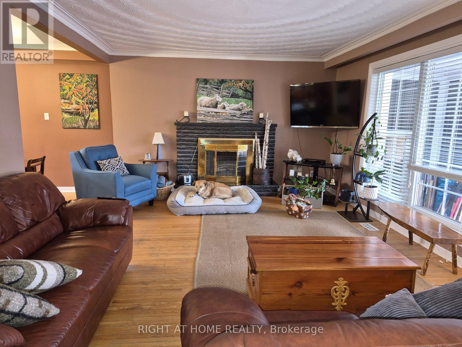 18 Gallacher Avenue, Richmond Hill, Ontario  L4E 2Y2 - Photo 3 - N12857878