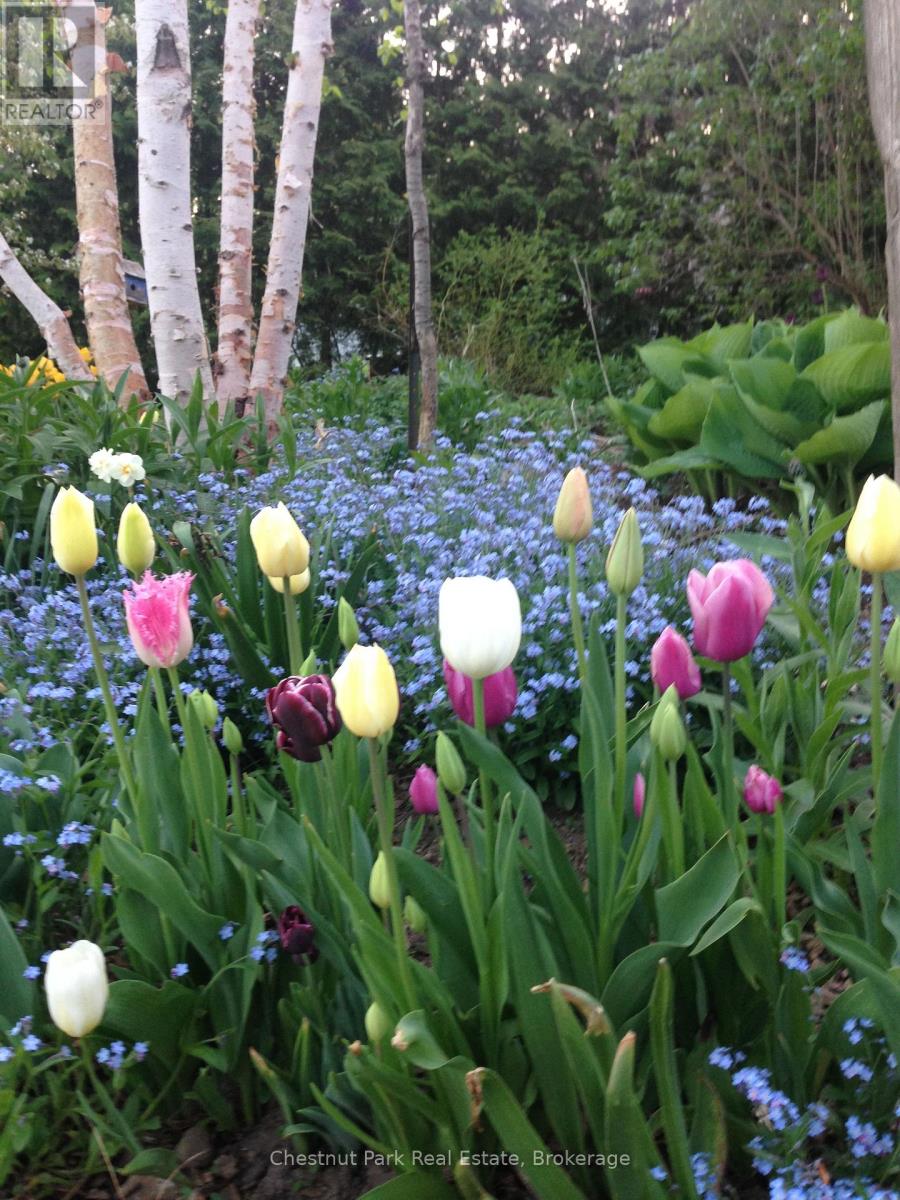 114 Clark Street, Blue Mountains, Ontario  N0H 1J0 - Photo 25 - X12938276