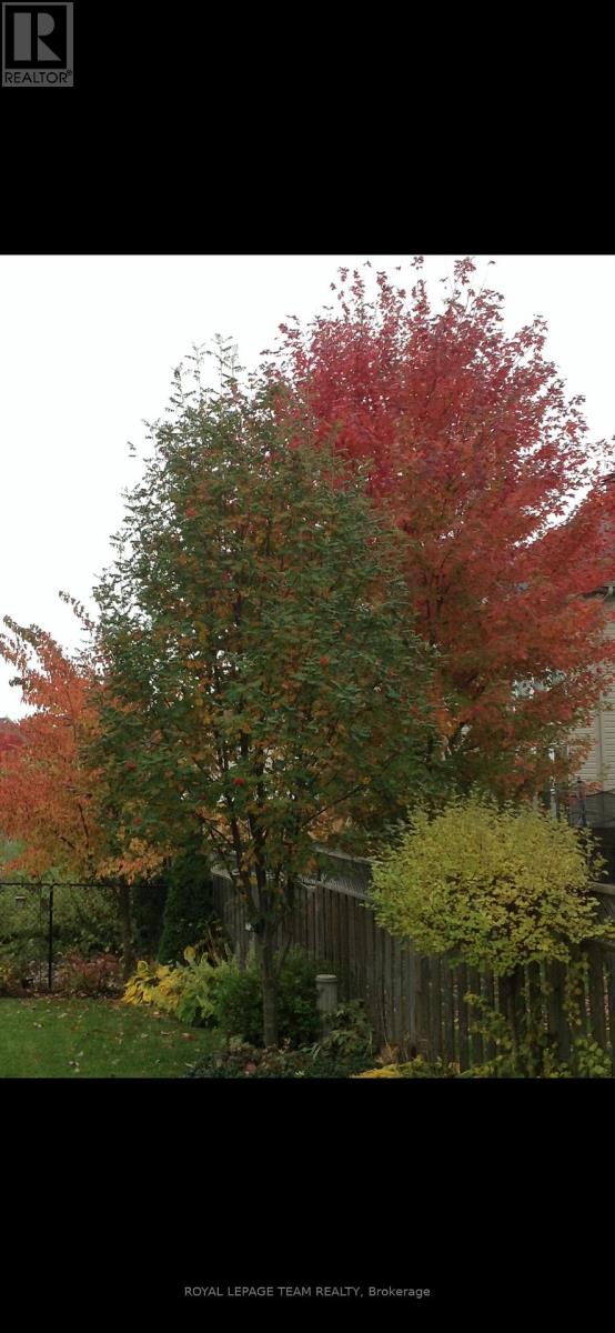 131 Spiritwood Drive, Ottawa, Ontario  K2M 3A2 - Photo 48 - X12955944