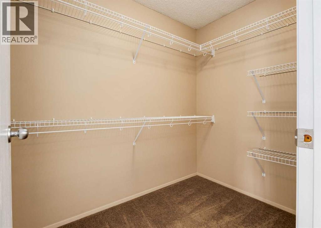 8 Castlepark Way NE, Calgary, Alberta  T3J 1R8 - Photo 17 - A2298883