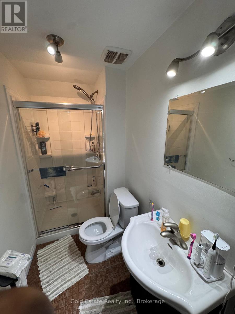 Basement - 1377 Coronation Drive, London North, Ontario  N6G 0B4 - Photo 6 - X12955558