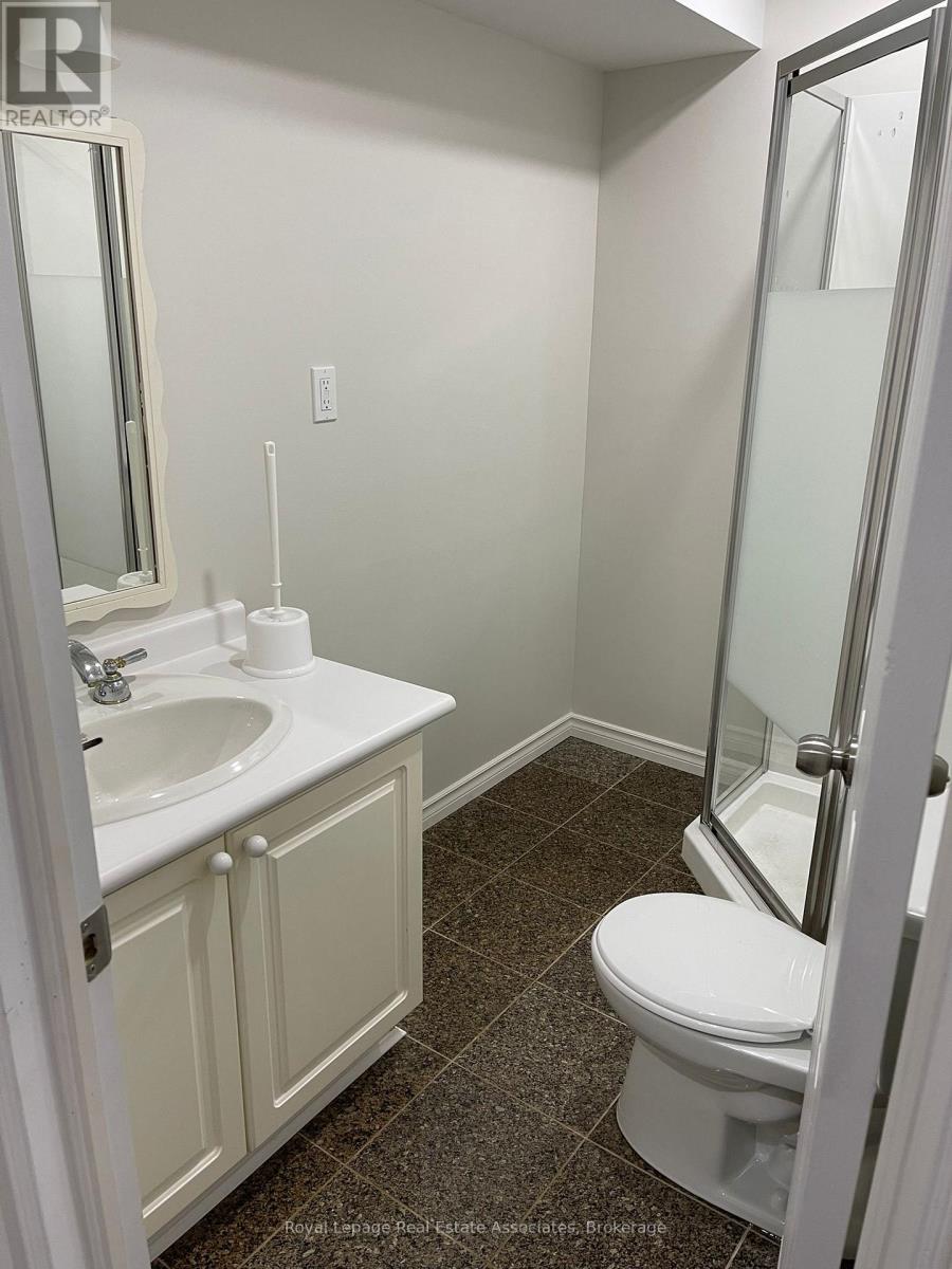 Basement - 135 Monarch Street, Welland, Ontario  L3B 5N8 - Photo 16 - X12955984