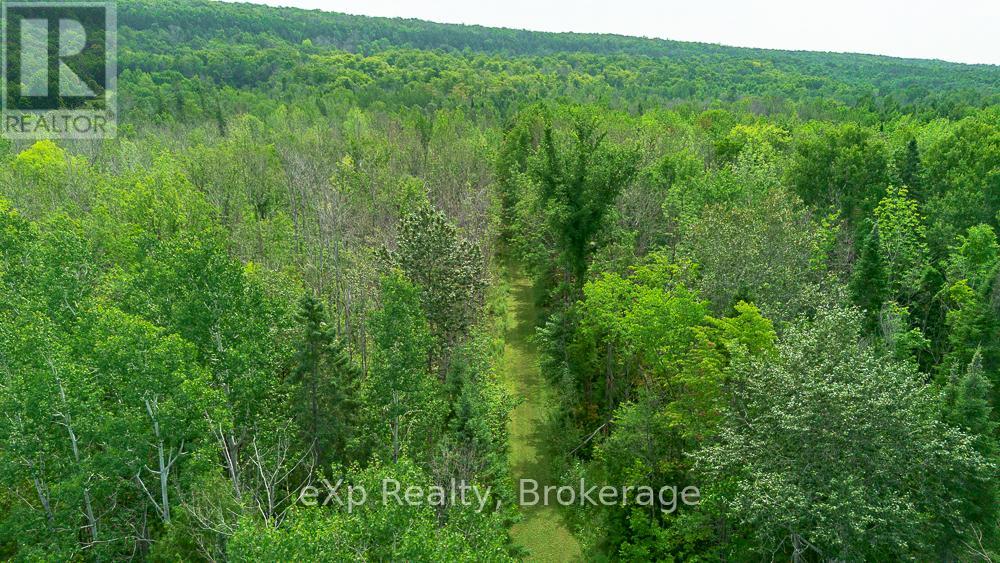 502354 Grey Road 1 Road, Georgian Bluffs, Ontario  N0H 2T0 - Photo 41 - X12956112